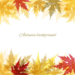 Colored leaves. Autumnal vector background. Frame. Border. Plant illustration.