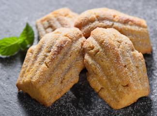 Freshly baked Madeleine cookies sprinkled with sugar powder close-up on the table, petite madeleine.