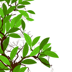 Seasonal Leaves Vector Background