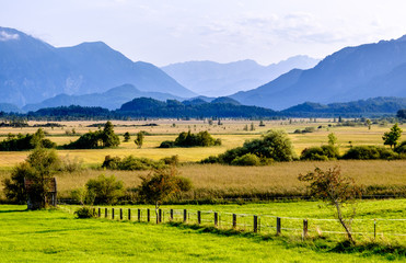 landscape murnauer moos - bavaria