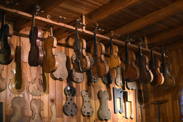 Violins hanging in luthier workshop - obrazy, fototapety, plakaty