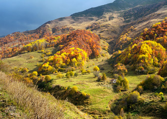 Fototapeta premium a small house, lonely stands on a mountainside, covered a bright autumn forest