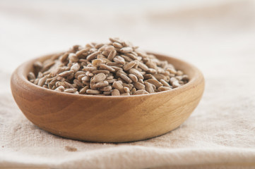 bowl of sunflower seeds isolated on white background