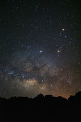 Fototapeta na wymiar Beautiful milkyway galaxy and silhouette of pine tree on a night sky.