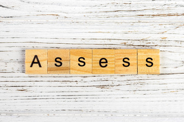 ASSESS word made with wooden blocks concept