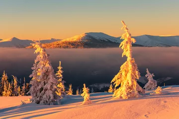 Gardinen Dramatic wintry scene with snowy trees. © Ivan Kmit
