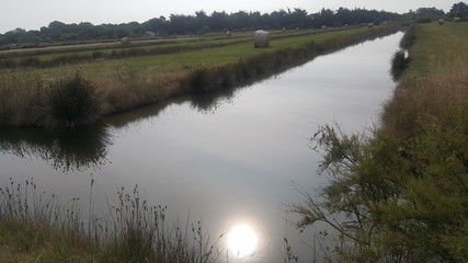 Reflet du soleil dans les marais à Oléron