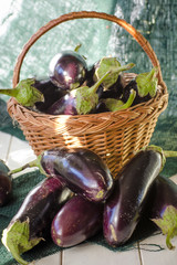 eggplants in a basket