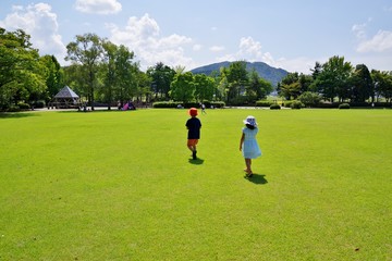 夏の芝生の公園を歩く子供