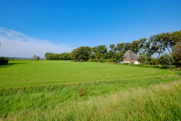 Bauernhof in den Niederlande