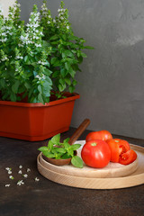 Basil and tomatoes close-up