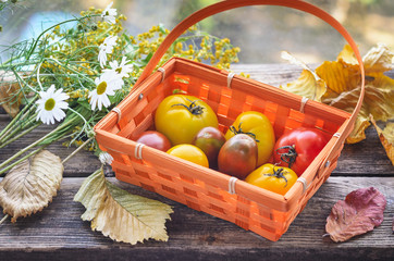 vegetable set on an old wooden table basket with tomatoes.