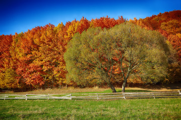 Country scenery on late autumn season