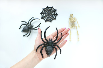 Obraz premium Preparating for halloween. Plastic toys of spiders and sceleton
