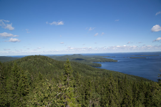 Forest and seascape on the mountain Koli, summer
