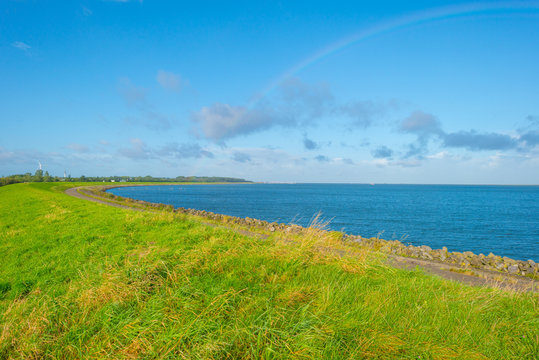 Dike along the shore of a lake in sunlight in summer