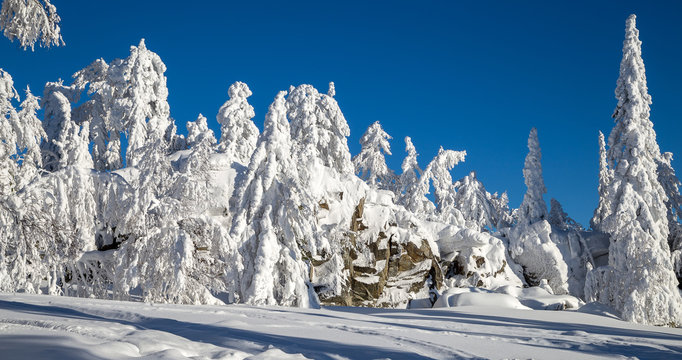 Fototapeta Winter in the mountains