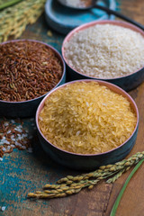 Green rice ears from Camargue rice fields in France and valiety of dried rice in bowls