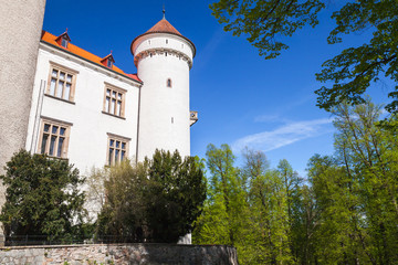 Fototapeta na wymiar Old Konopiste castle, Czech Republic