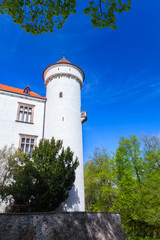 Fototapeta na wymiar Konopiste white castle, Czech Republic