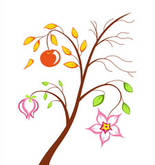 Four Seasons of the year