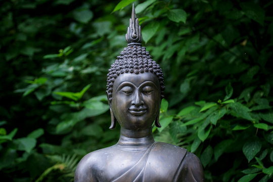 Budda Bilder – Durchsuchen 12,585 Archivfotos, Vektorgrafiken und ...