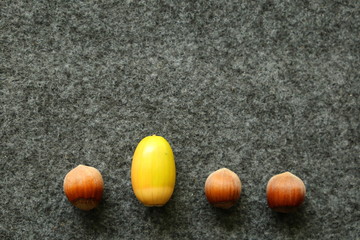 Being different/ Three hazelnuts and a acorn in a row