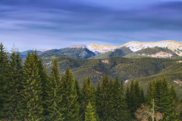 Spring mountain landscape with snowcapped montaines and fir forest.
