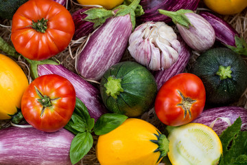 Fresh organic vegetables background, wallpaper - round courgette, small eggplants, diet concept, Italian and French food, healthy food.