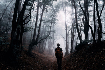 Fototapeta premium man silhouette in magical forest, dark fantasy landscape