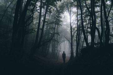 man shadow in dark scary mystery forest halloween landscape