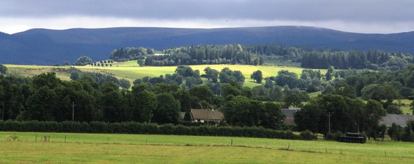 paysage d'Auvergne