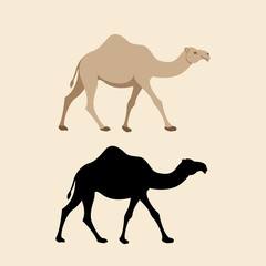 camel vector illustration style flat black silhouette
