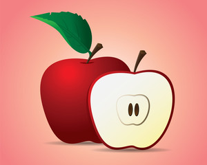 apple fruit illustration