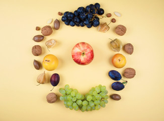 Autumn fruits and nuts on yellow background.