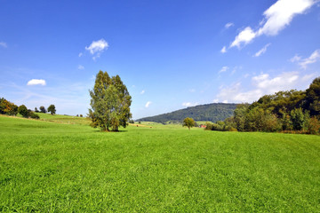 Rural landscape in countryside of Beskid Niski, Poland