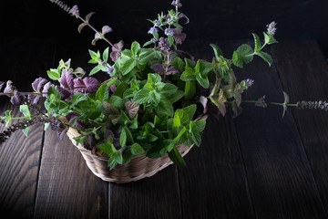 Basket with fresh green mint and two glass cups with fresh mint tea on dark  background.