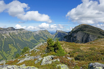 niederhorn, justistal, alpen, schweiz