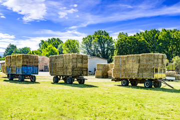 Hay and straw charged on trailer