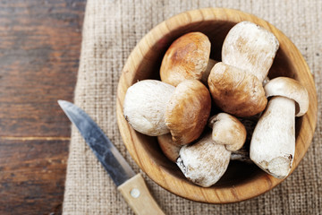 Mushroom Boletus on burlap