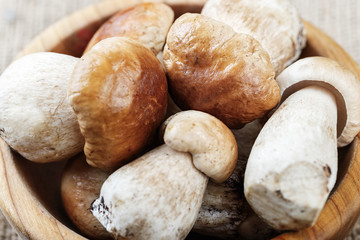 Mushroom Boletus in a wooden bowl