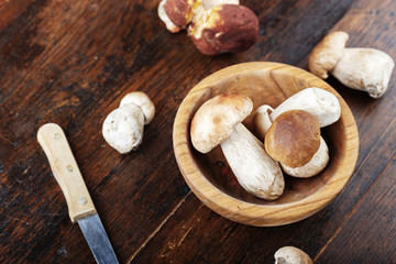 Mushroom Boletus with knife