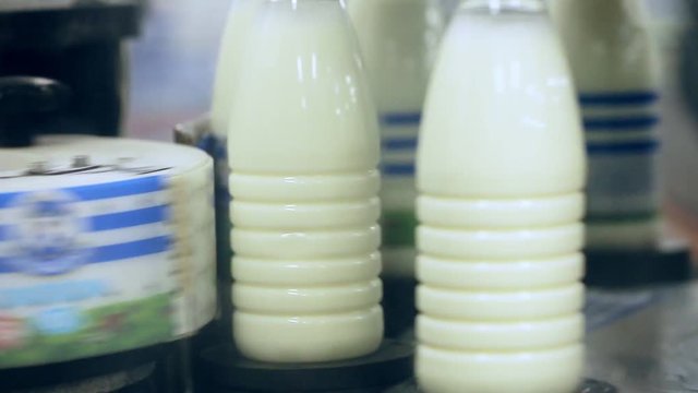 Labeling machine at milk production line. Milk products labeling at dairy factory. Close up packing milk bottles. Label milk bottles. Dairy industry. Bottle label at dairy plant
