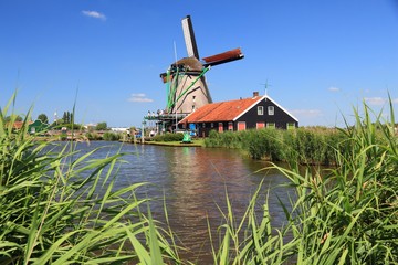 Fototapeta premium Netherlands windmill - Zaanse Schans area