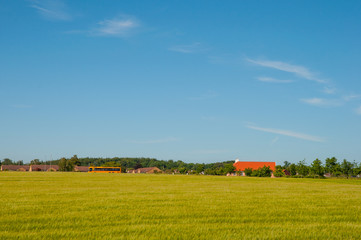 Danish agricultural landscape