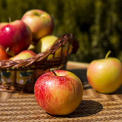 Autumn harvest concept. Red apples on a straw wicker table and in a basket
