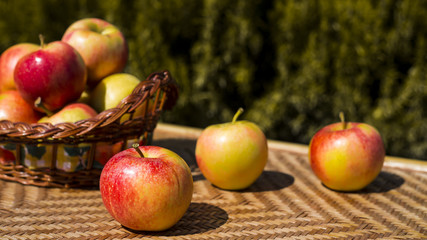 Autumn harvest concept. Red apples on a straw wicker table and in a basket