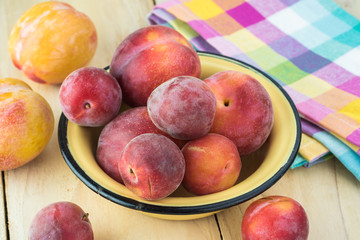 Fresh assorted plumcots.