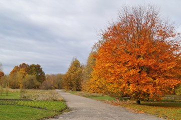 Naklejka premium Decoration for Halloween - - seasonal and holidays concept - soft focus 