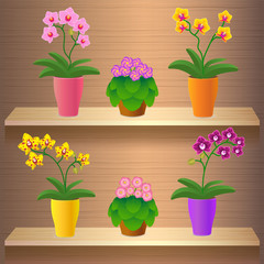 Vector illustration of a shelf, shelves with flowers.